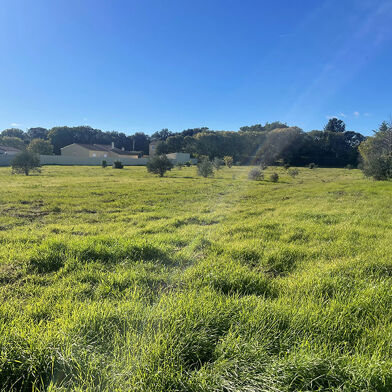 Local industriel  149000 €