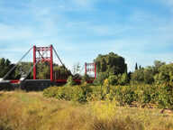 Terrain - 600 — photo 3