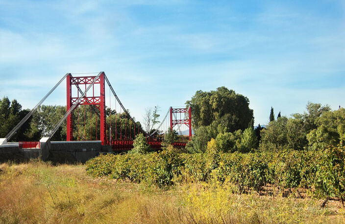 Terrain - 600 — photo 3