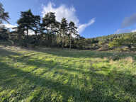 VINZIEUX - Terrain constructible de 1333m2 — photo 2