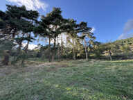 VINZIEUX - Terrain constructible de 1333m2 — photo 4