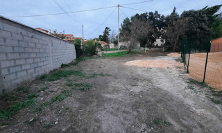 Photo N° 3