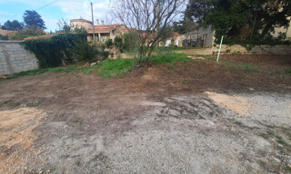 Photo N° 4