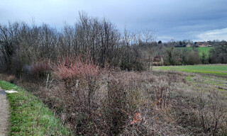Photo N° 2