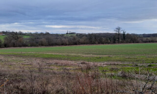 Photo N° 3