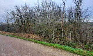 Photo N° 4