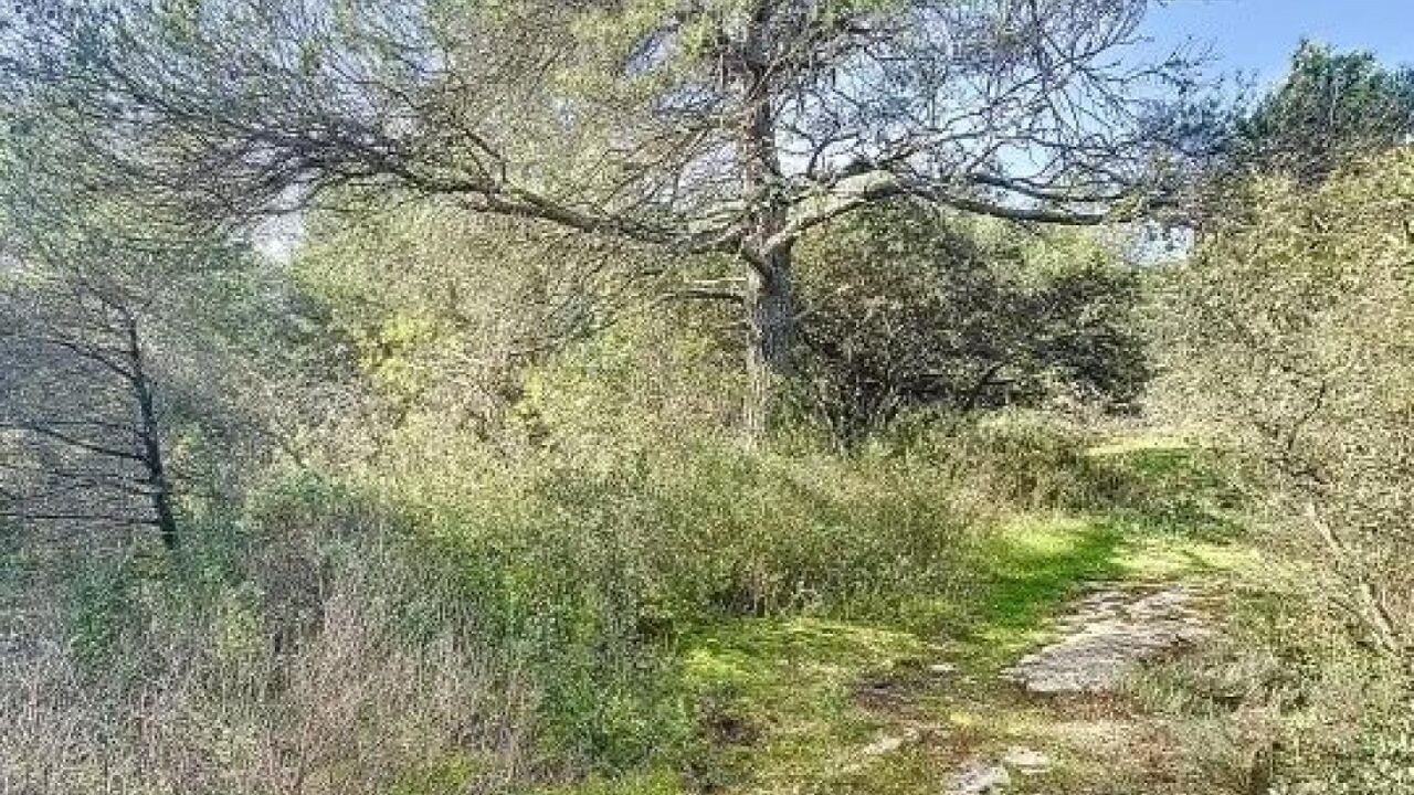 terrain  pièces 3150 m2 à vendre à Cabrières-d'Avignon (84220)