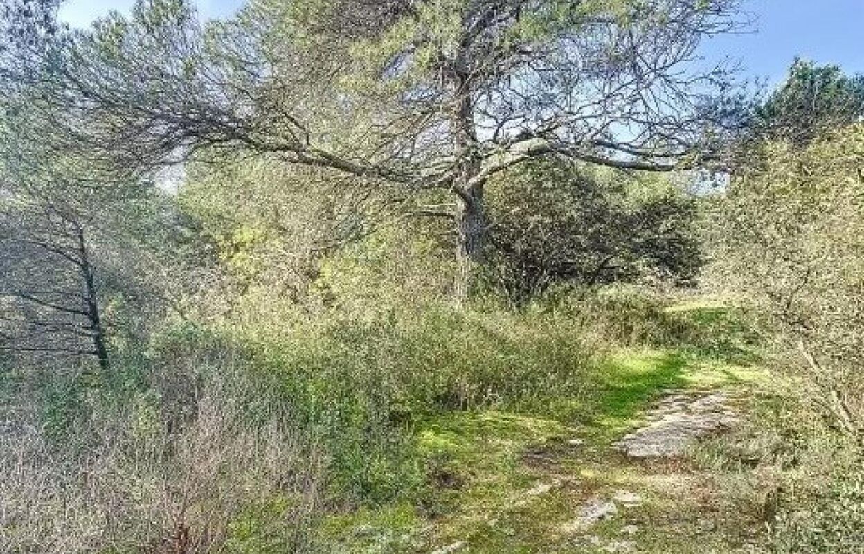 terrain  pièces 3150 m2 à vendre à Cabrières-d'Avignon (84220)