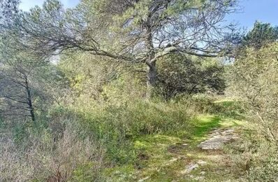 vente terrain 20 000 € à proximité de Murs (84220)