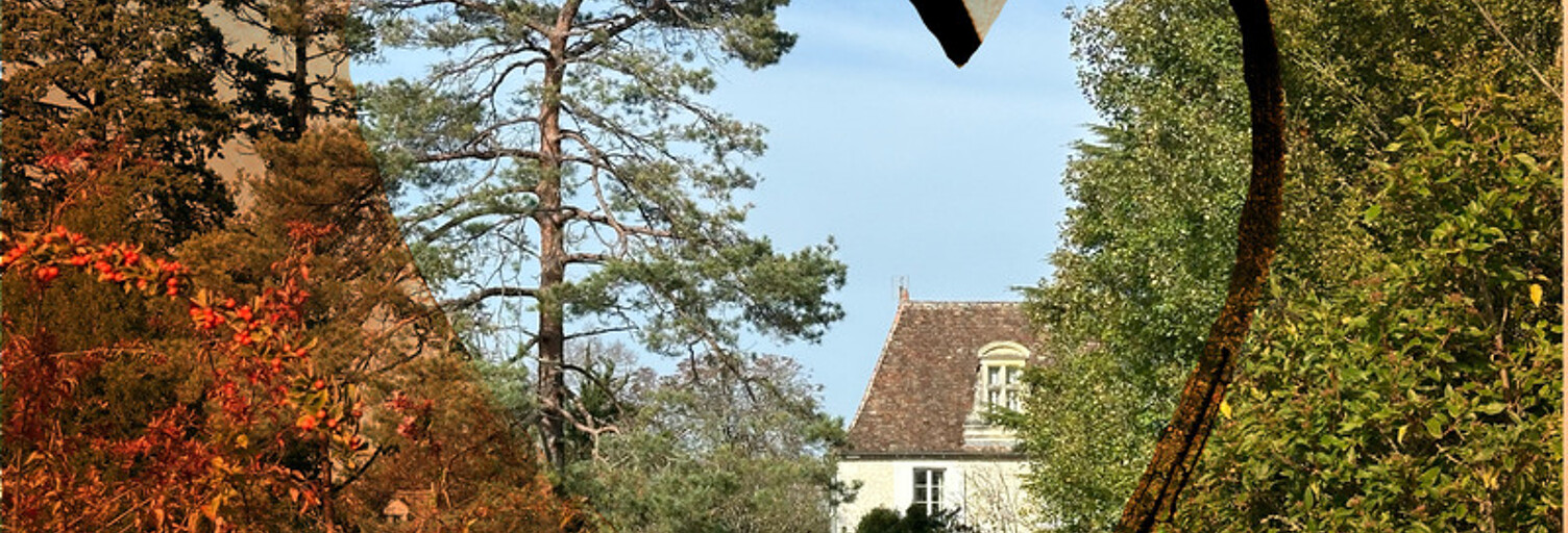 Maison 8 Pièces 345 m² à vendre à Saint-Léon-d'Issigeac (24560)