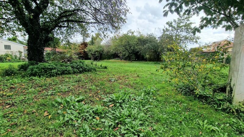 Terrain  à vendre Tarbes 65000