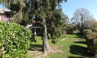 Photo N° 5