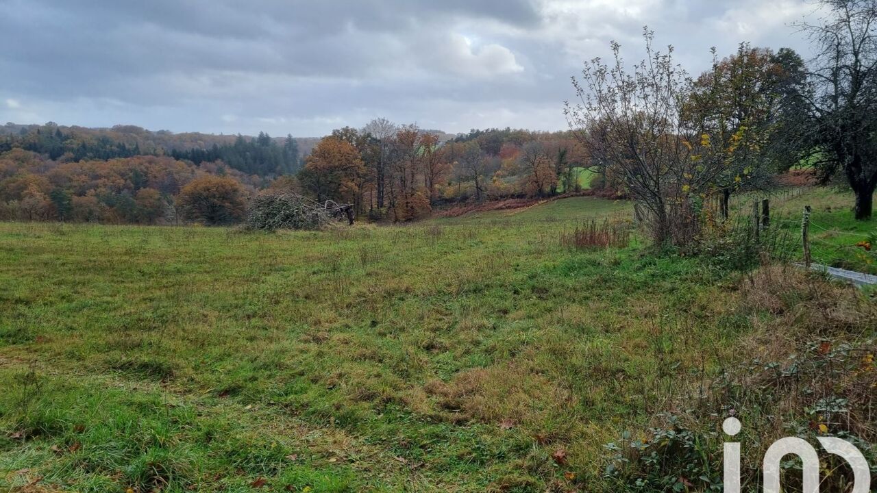 terrain  pièces 1301 m2 à vendre à Corrèze (19800)