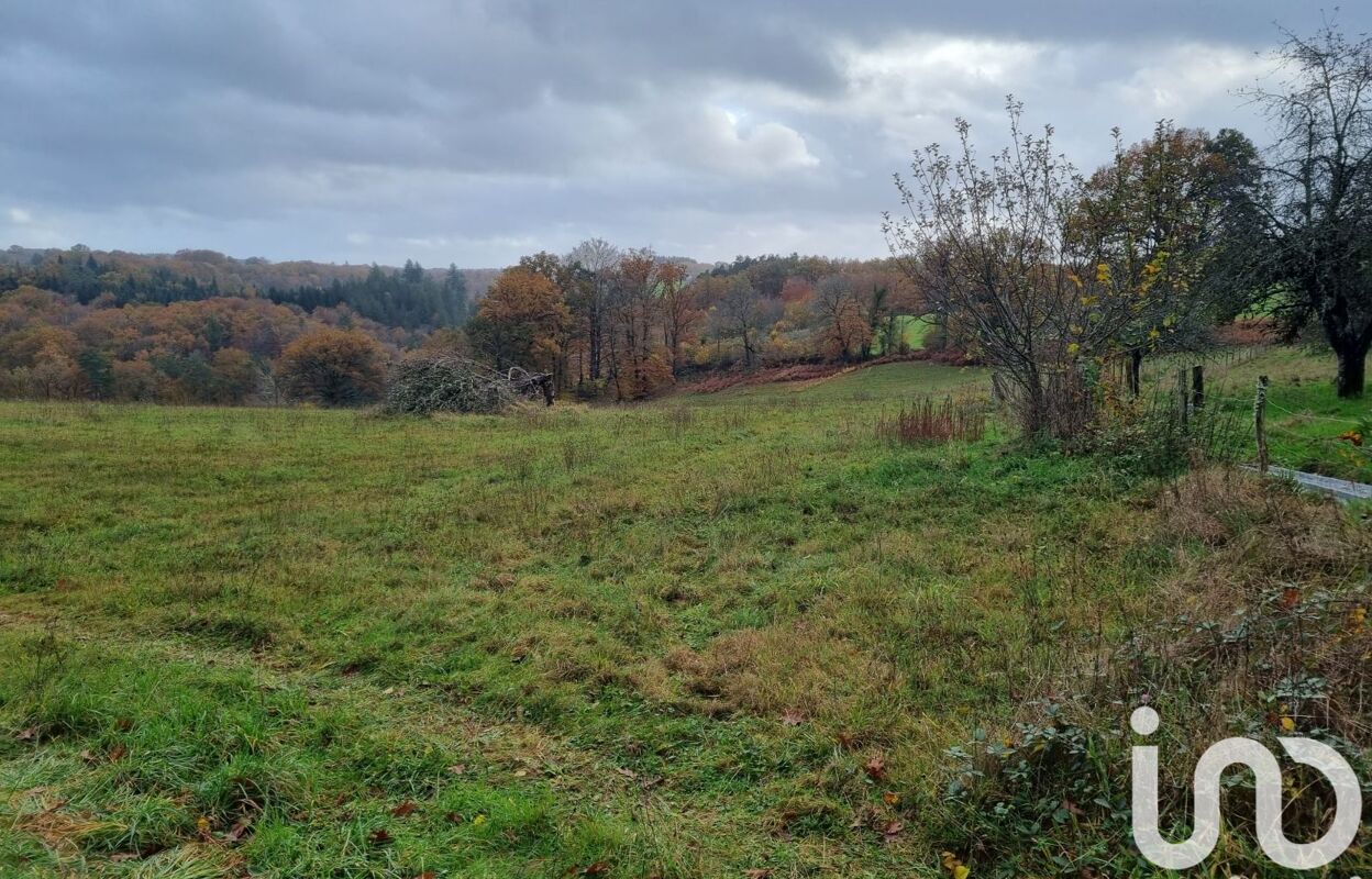 terrain  pièces 1301 m2 à vendre à Corrèze (19800)