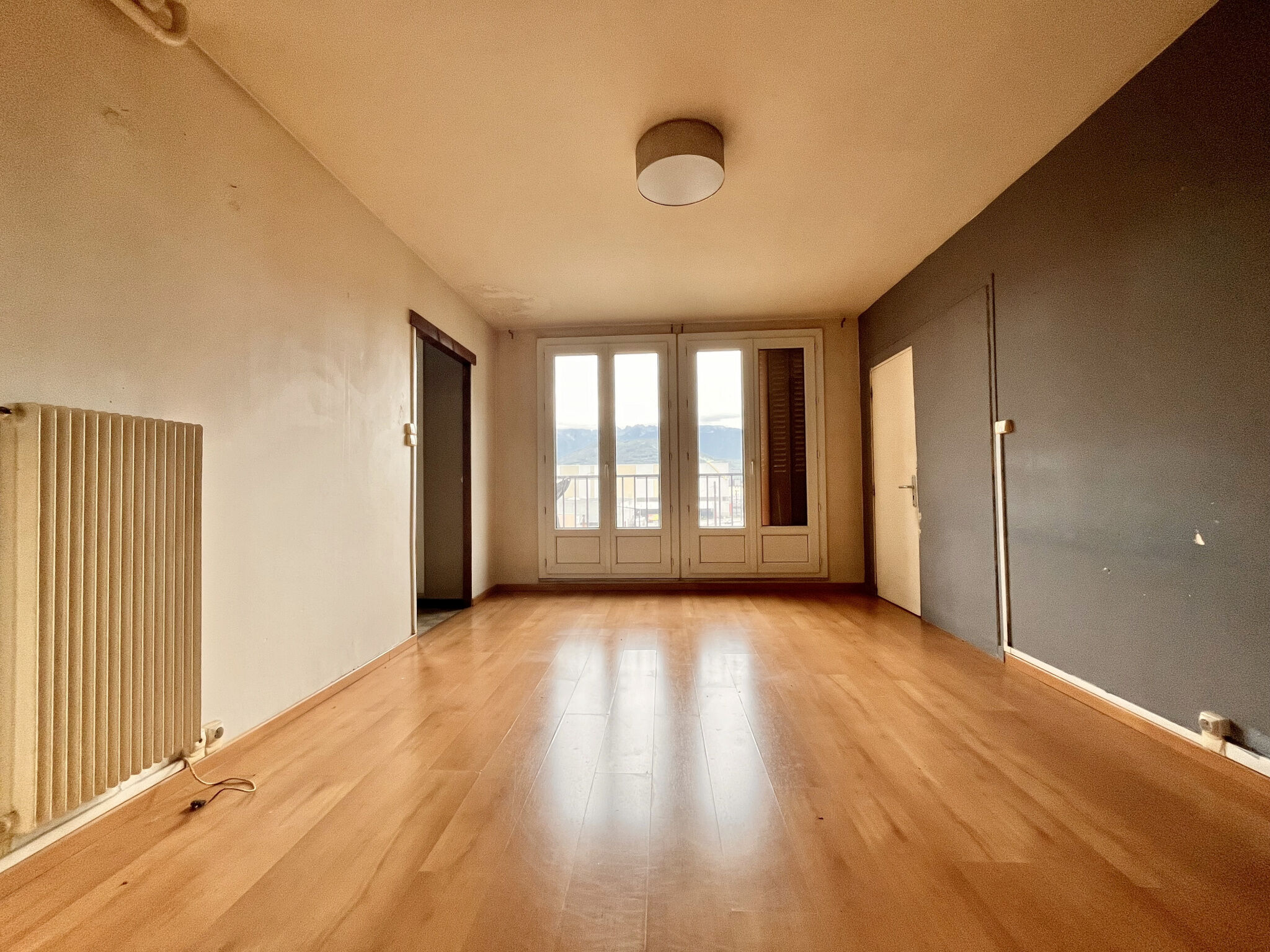 Appartement 4 pièces  à vendre Grenoble 38100