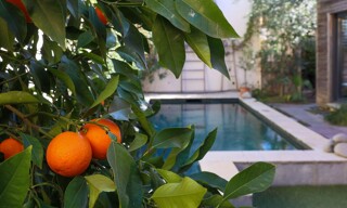 Maison 4 Pièces 151 m² à vendre à Montpellier (34000)