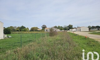 Photo N° 4