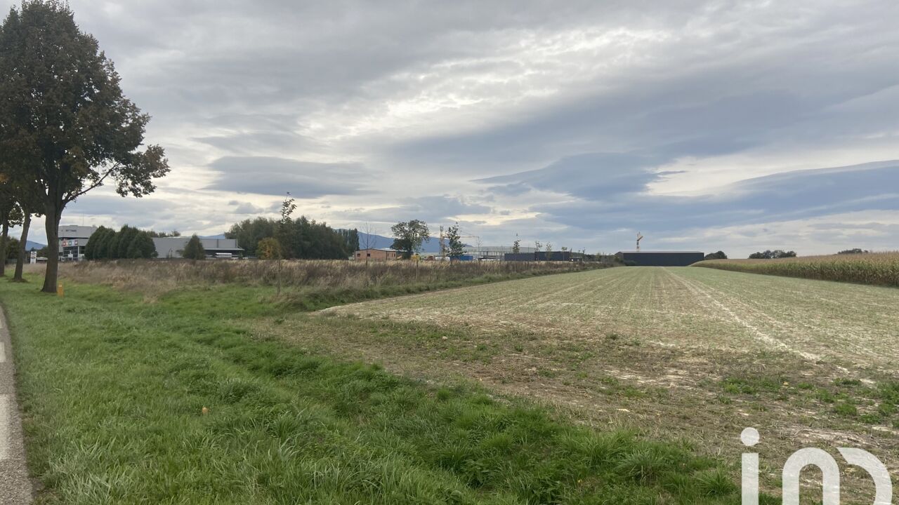 terrain  pièces 6200 m2 à vendre à Burnhaupt-le-Bas (68520)