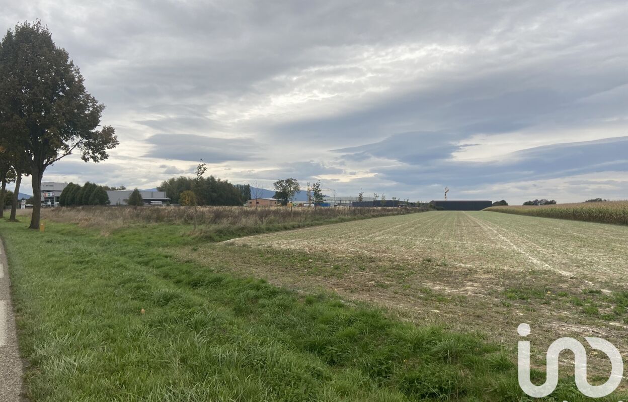 terrain  pièces 6200 m2 à vendre à Burnhaupt-le-Bas (68520)