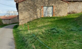 Photo N° 7