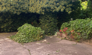 Photo N° 3