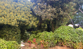 Photo N° 6