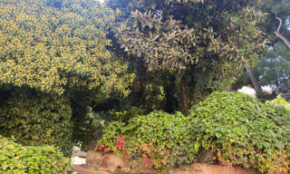 Maison 4 Pièces 110 m² à vendre à Marseille 14 (13014)