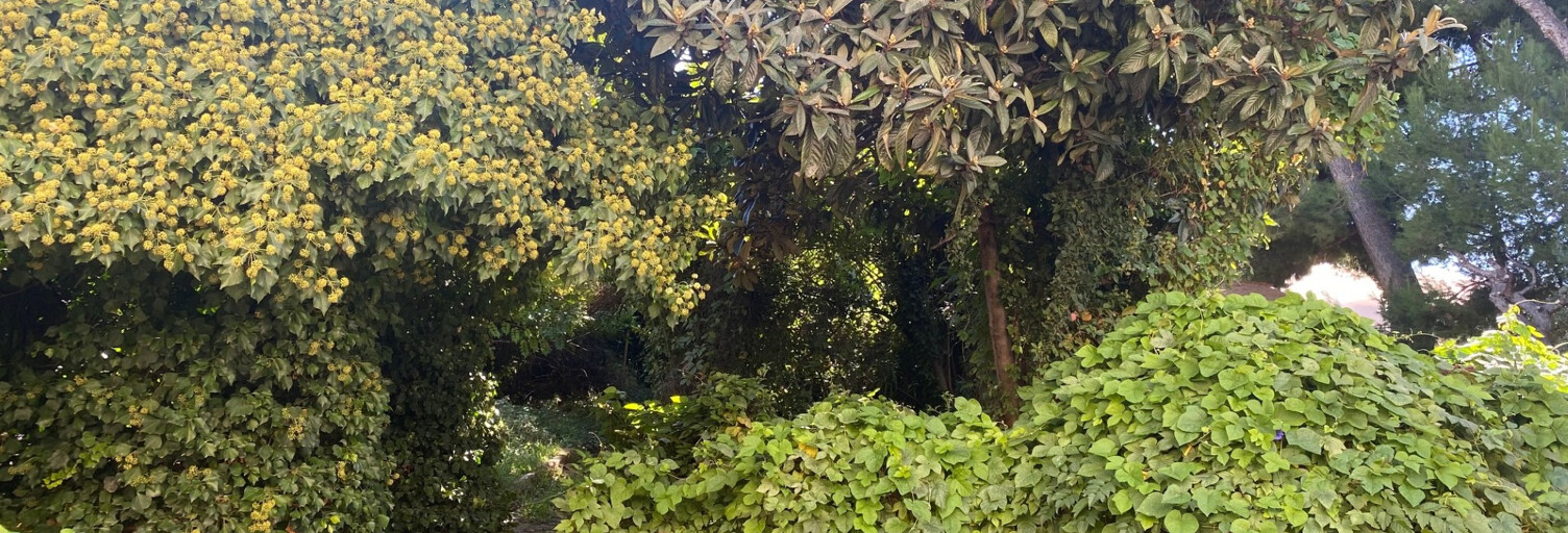 Maison 4 Pièces 110 m² à vendre à Marseille 14 (13014)