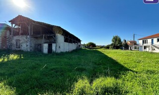 Photo N° 4