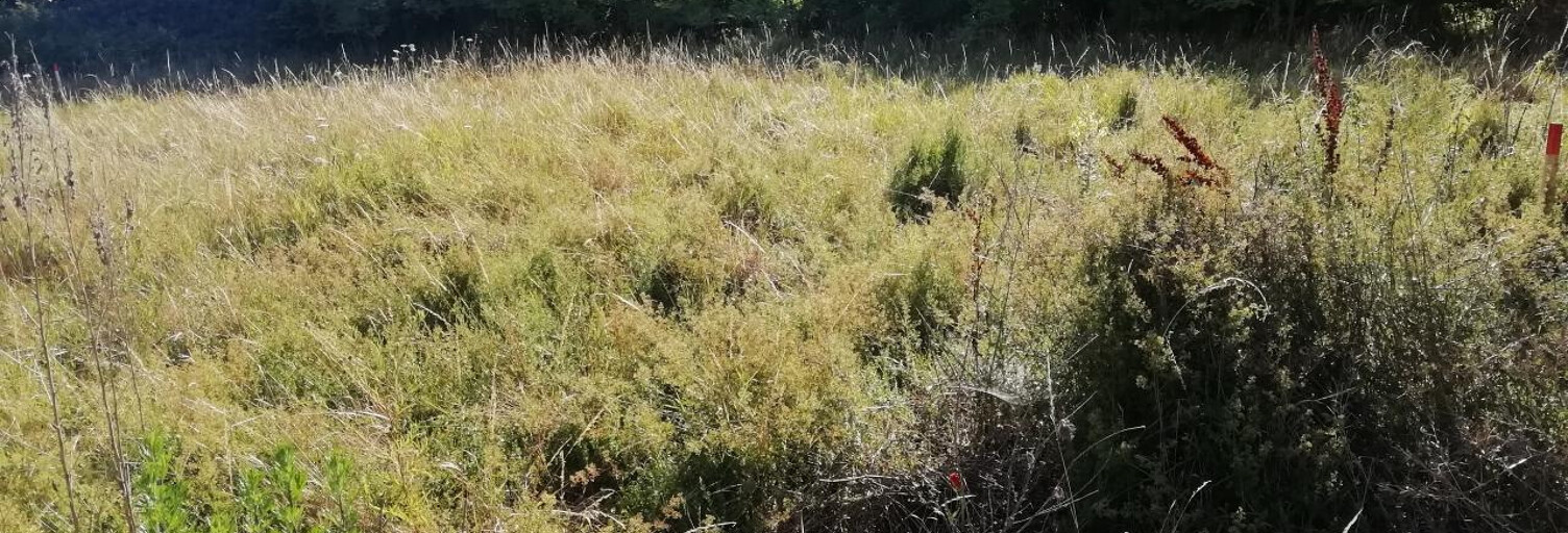 Terrain  466 m² à vendre à Andilly-les-Marais (17230)