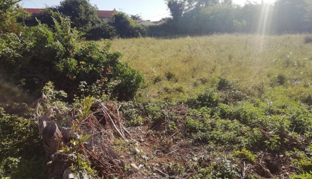 Terrain  à vendre Andilly 17230