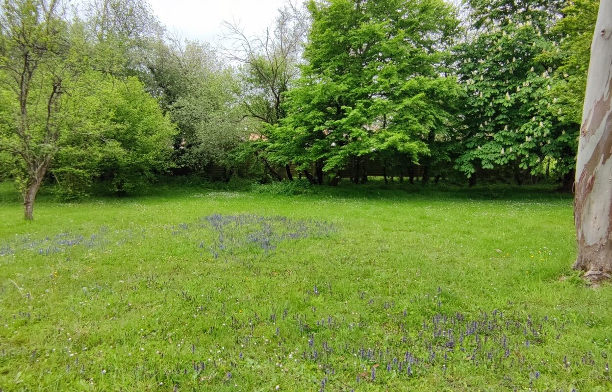 terrain  pièces 1190 m2 à vendre à Haute-Goulaine (44115)