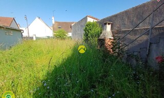 Photo N° 4