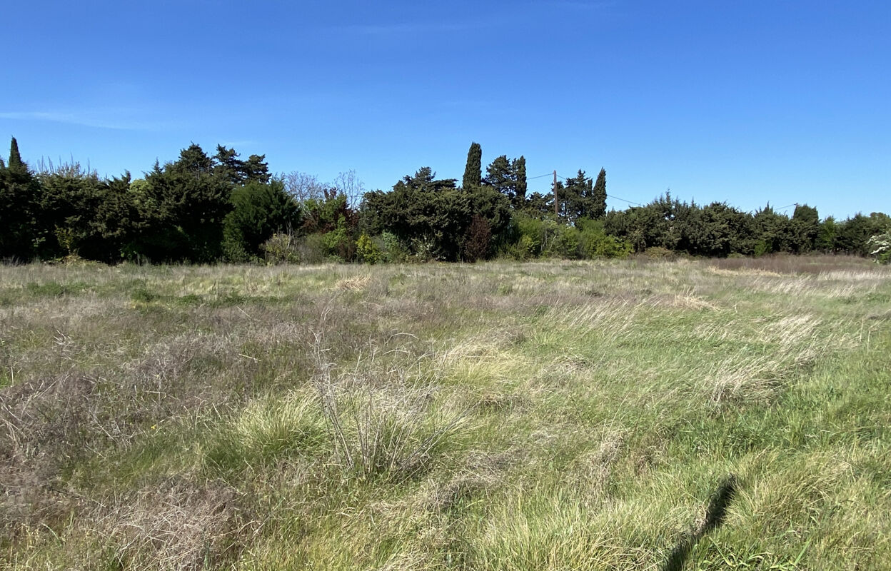 terrain  pièces 400 m2 à vendre à Cavaillon (84300)