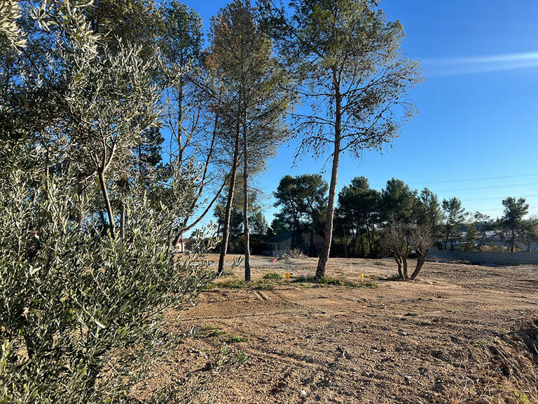 Terrain - 301 — photo 1