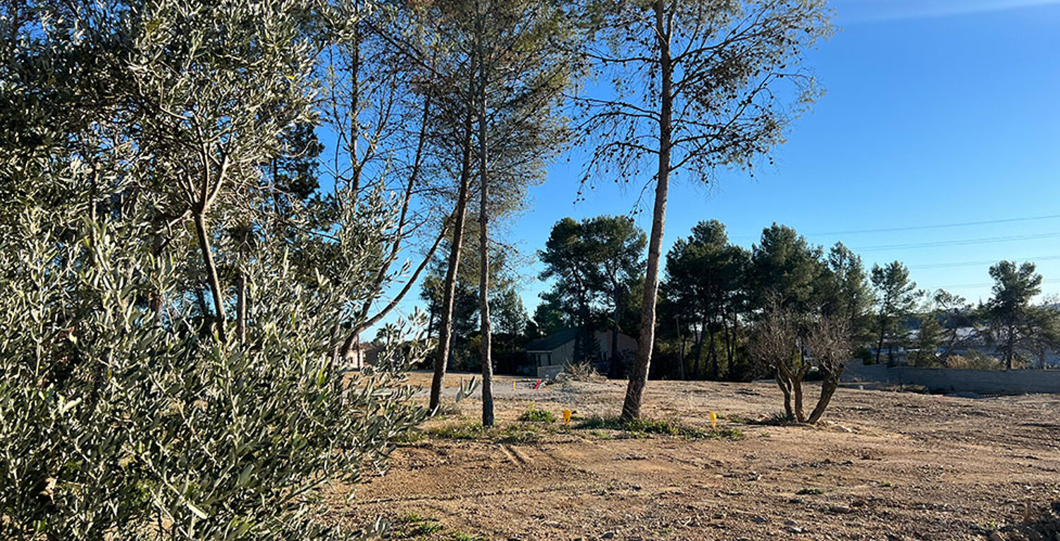 Terrain - 301 — photo 1