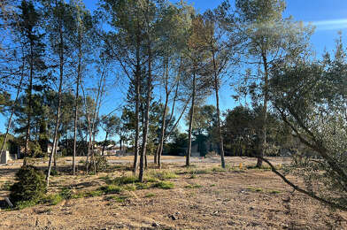 Local industriel  247000 €