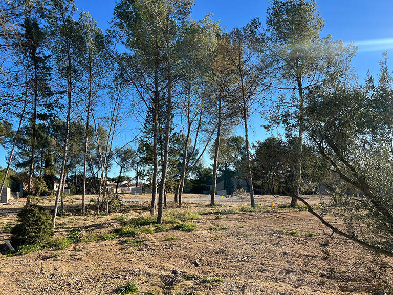 Terrain - 339 — photo 1