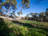 Terrain - 1300 — photo 3