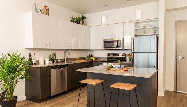 Appartement 2 pièces  à vendre Orly 94310