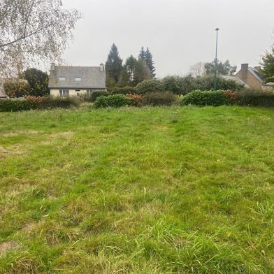 Terrain  49990 €