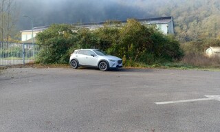 Photo N° 3