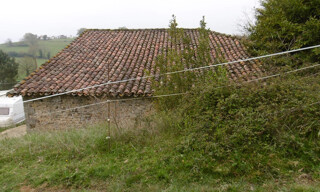 Photo N° 15