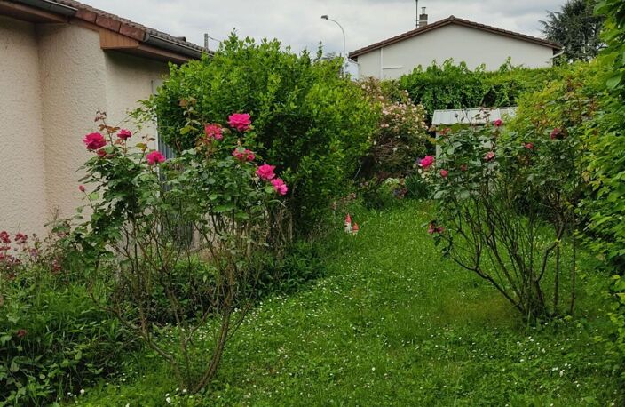 Maison À Vendre — photo 5