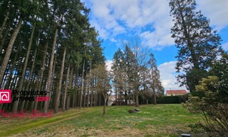 Maison 6 Pièces 145 m² à vendre à Saint-Vincent-de-Boisset (42120)