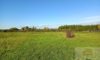 Photo N° 5