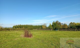 Photo N° 8