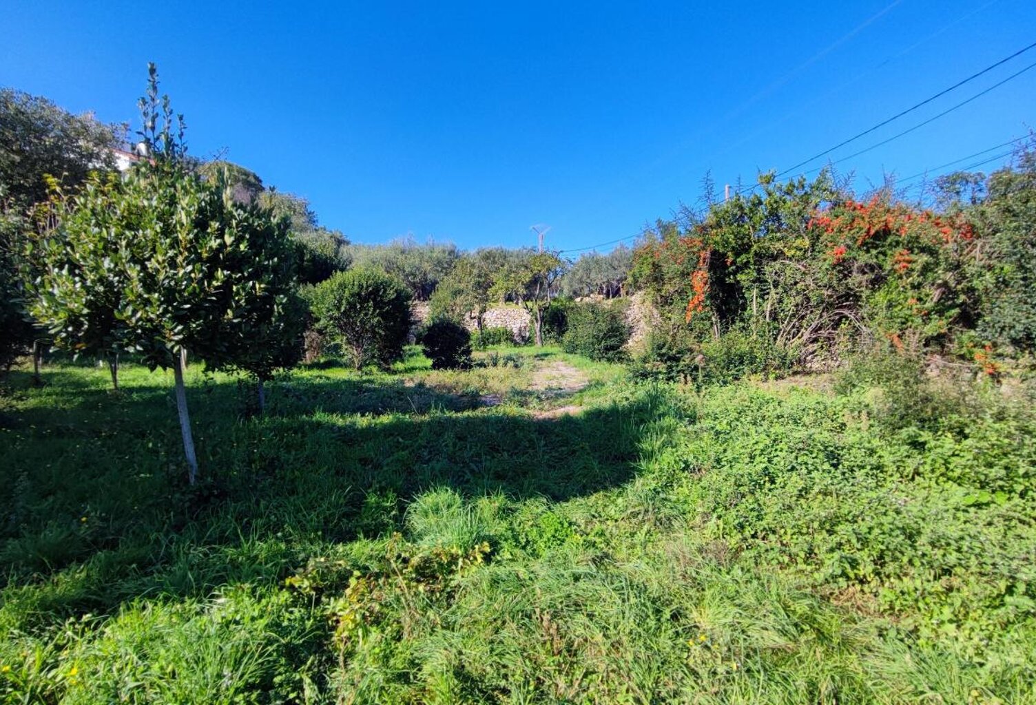 Terrain à Vendre avec vue dominante panoramique! — photo 1