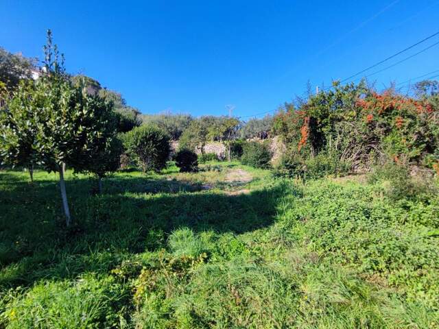 Terrain à Vendre avec vue dominante panoramique! — photo du bien