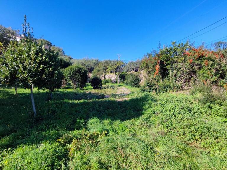 Terrain à Vendre avec vue dominante panoramique! — photo 1